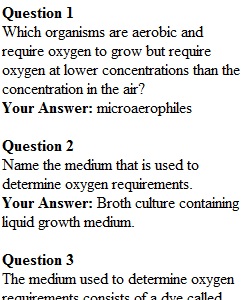 Pre-Lab Quiz 8